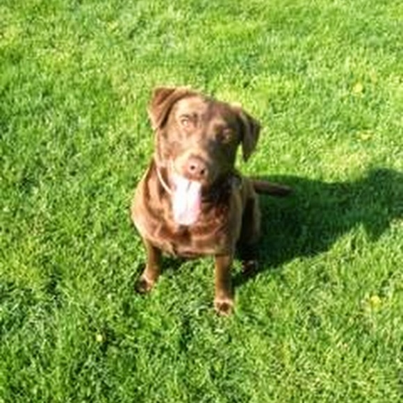 Meet your Posher, Theresa - Picture 1 of 6